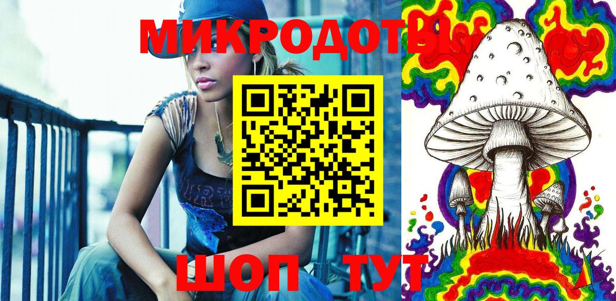 Галлюциногенные грибы Psilocybine cubensis Сосновый Бор